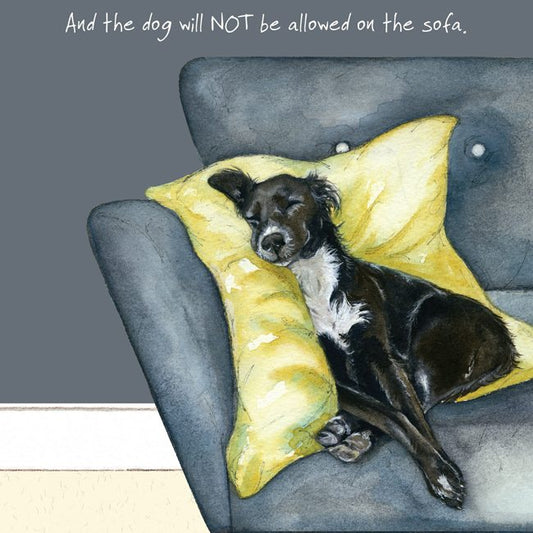 Rescue Dog Greeting Card – Not sofa | The Little Dog Laughed