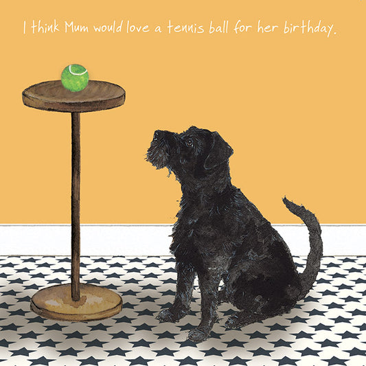 Patterdale Dog Birthday Card I The Little Dog Laughed