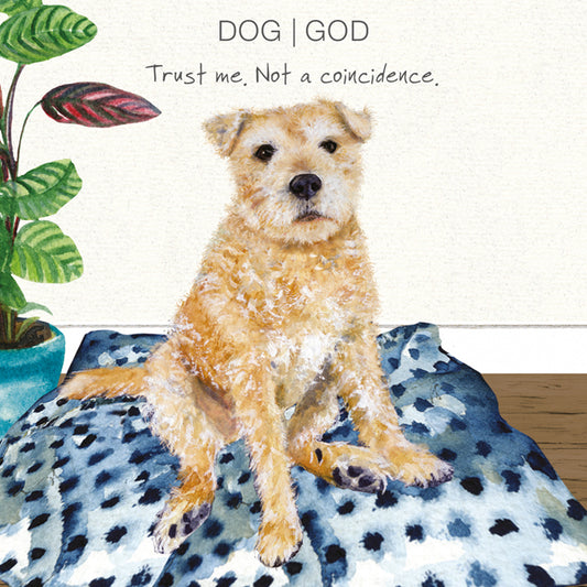 Terrier Rescue Dog Greeting Card | I The Little Dog Laughed