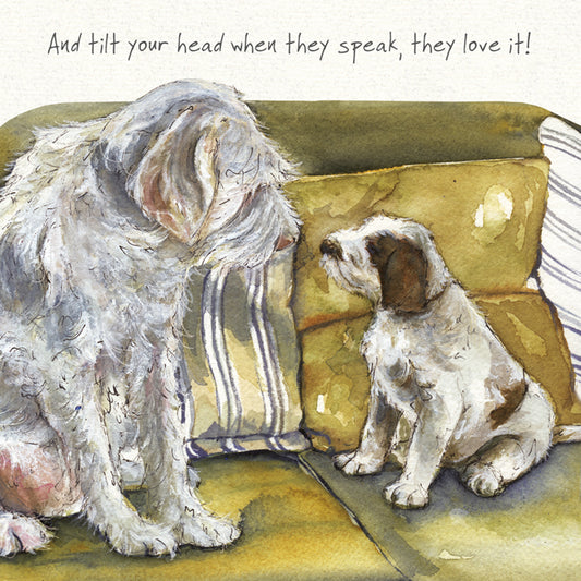 Italian Spinoni Greeting Card | The Little Dog Laughed