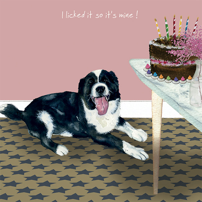 Border Collie Greeting Card | The Little Dog Laughed