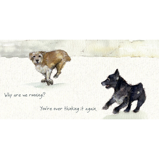 Patterdale & Norfolk Terrier Greeting Card | The Little Dog Laughed