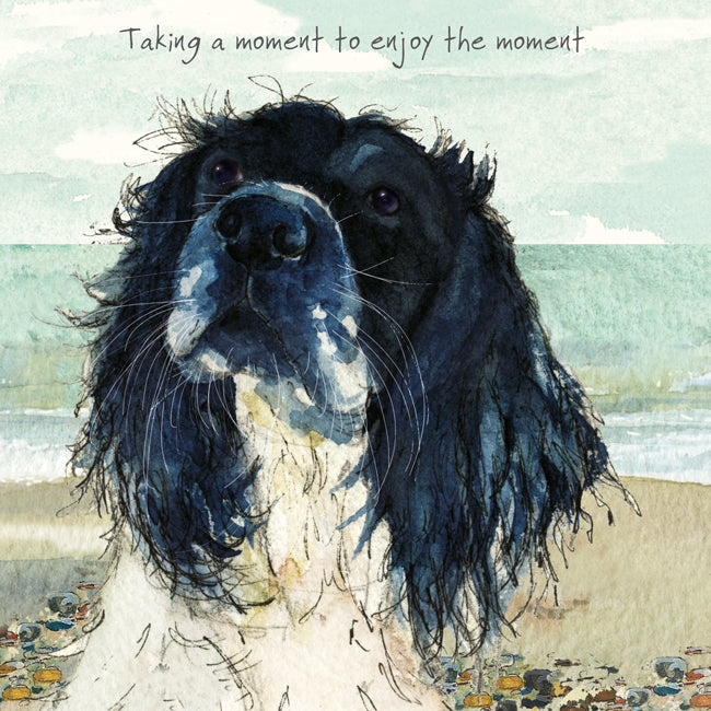 Springer Spaniel Greeting Card | The Little Dog Laughed