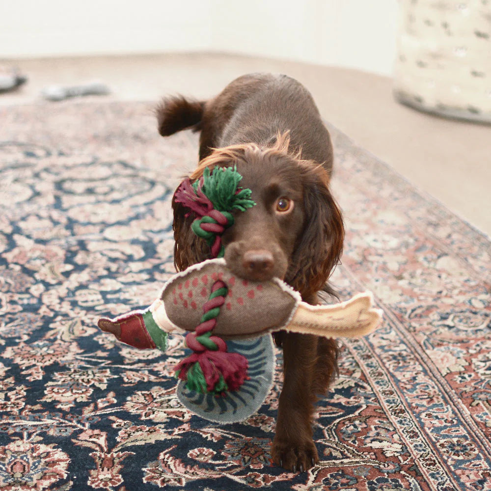 Pheasant Rope Dog Toy