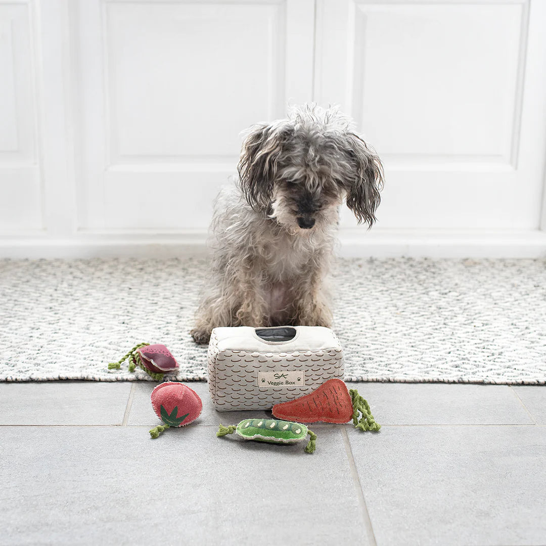 Veggie Box Dog Toy Set