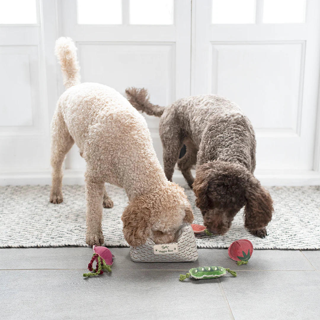 Veggie Box Dog Toy Set