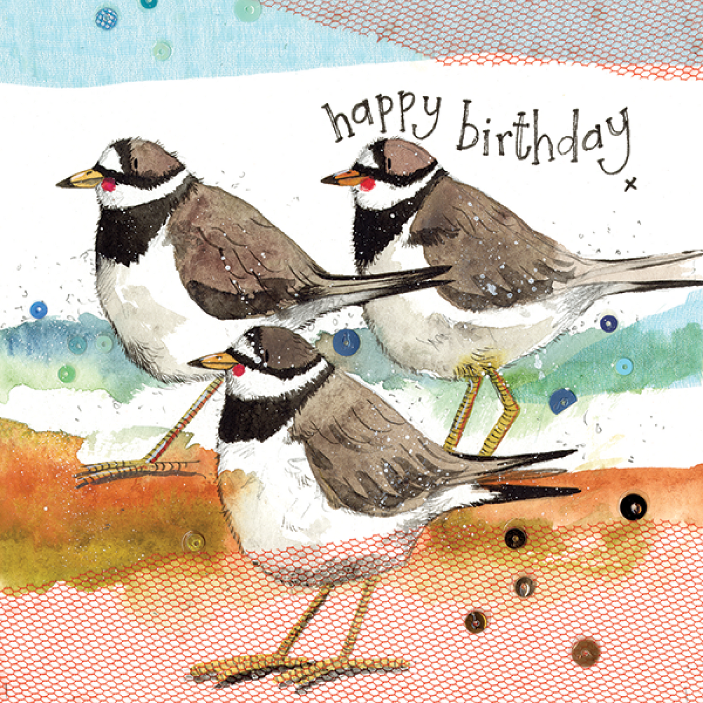 Ringed Plovers Bird Birthday Card