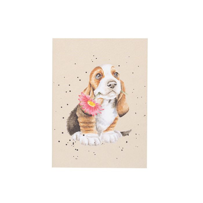 'Just for You' Basset Hound A6 Notebook