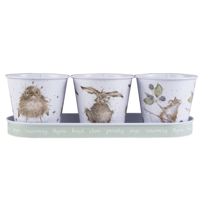 Country Animals Herb Pots and Tray Wrendale Designs