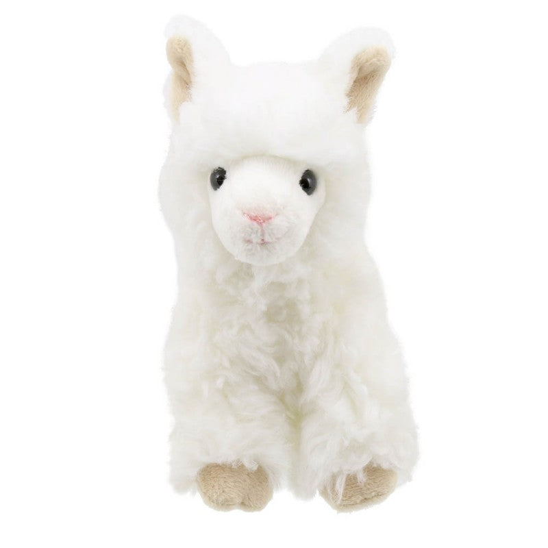 Mini Llama