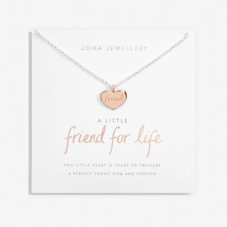 A Little 'Friend For Life' Necklace