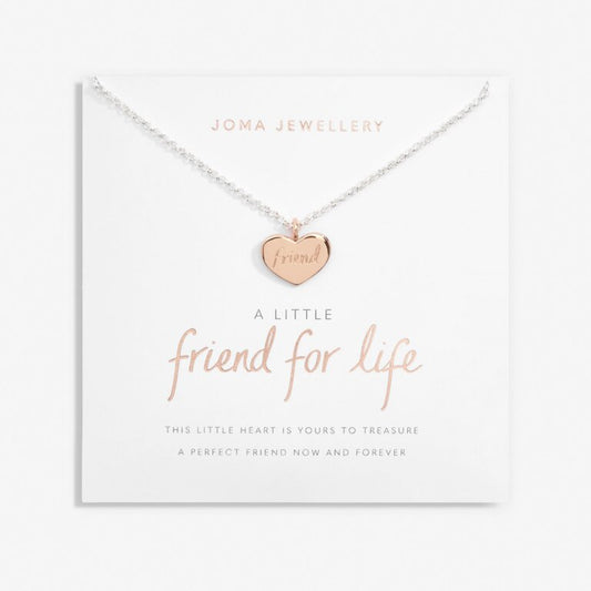 A Little 'Friend For Life' Necklace