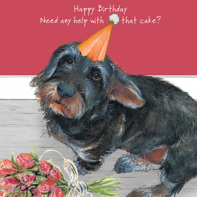 Dachshund Birthday Card | The Little Dog Laughed