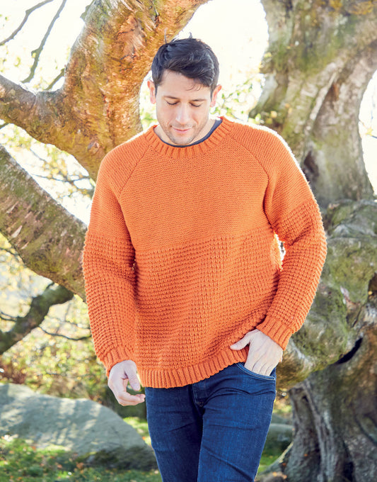 Pattern - MAN'S SWEATER IN HAYFIELD BONUS DK