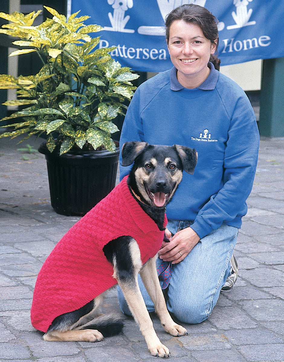 Pattern - DOG BLANKET & COAT IN HAYFIELD BONUS DK