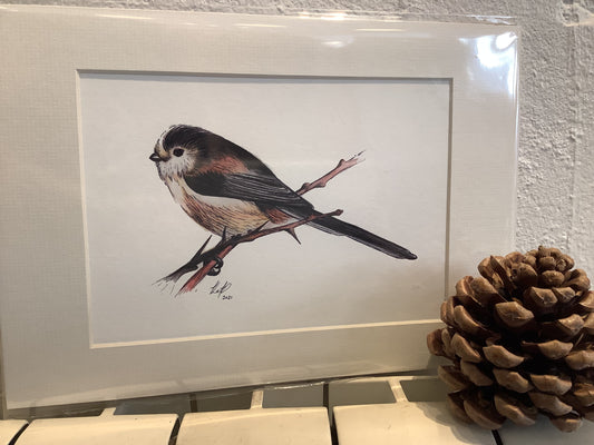 Long Tailed Tit - Fine Art Print