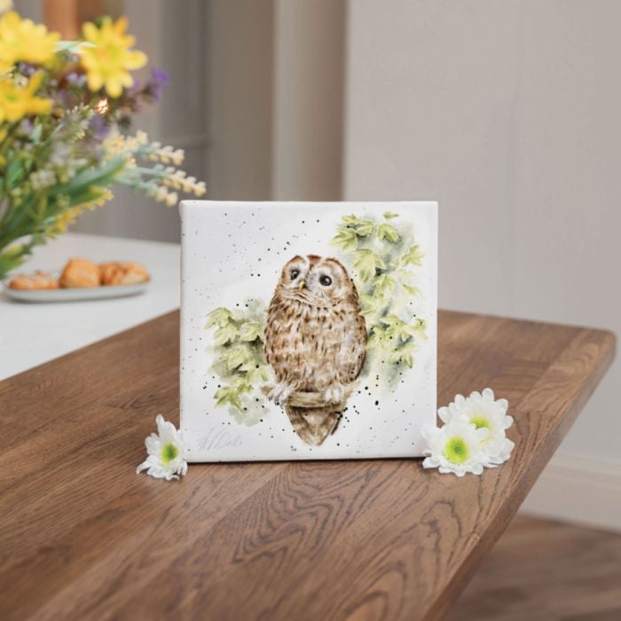 ‘Treetops’ Owl Canvas Small - by Wrendale