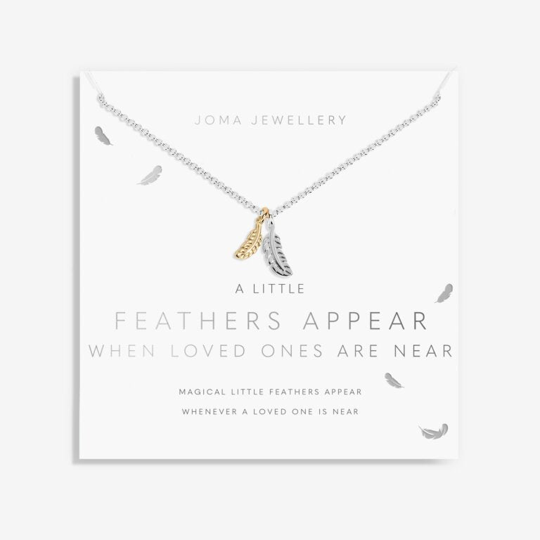 A Little 'Feathers Appear When Loved Ones Are Near' Necklace