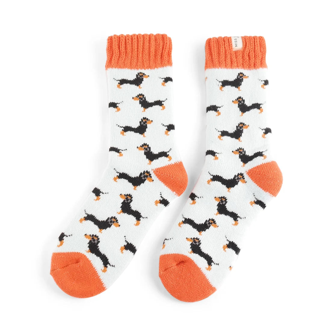 Winter Little Sausage Dog Socks