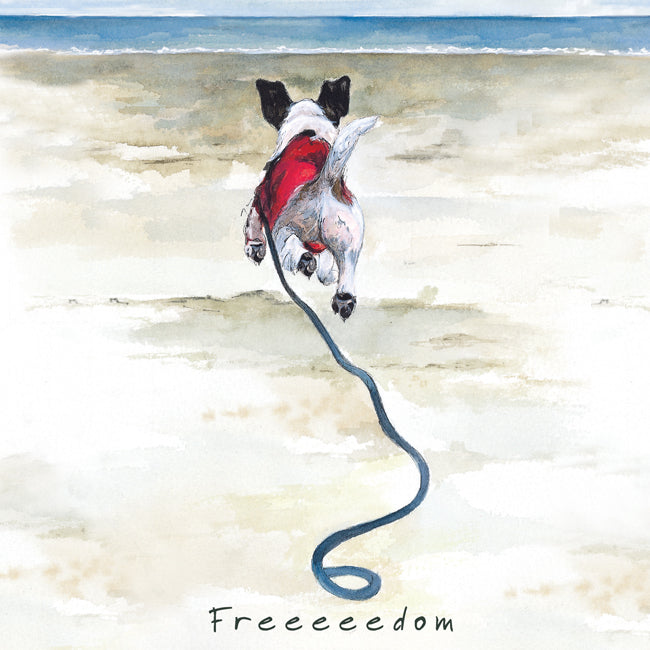 Jack Russell Greeting Card – Freedom