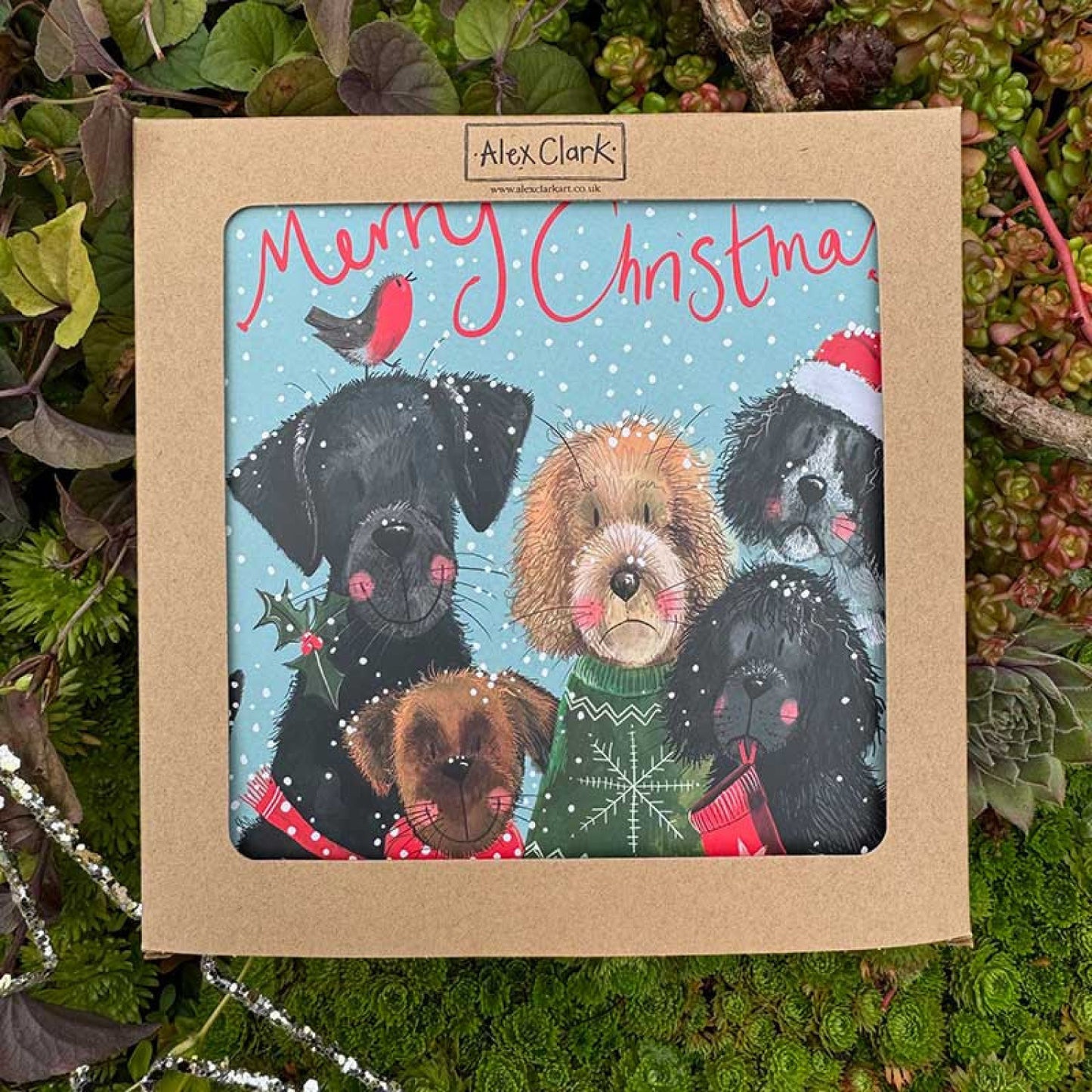 Festive Dogs Boxed Christmas Cards