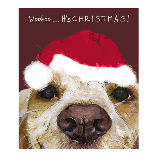 Cocker Spaniel Mini Christmas Card | The Little Dog Laughed