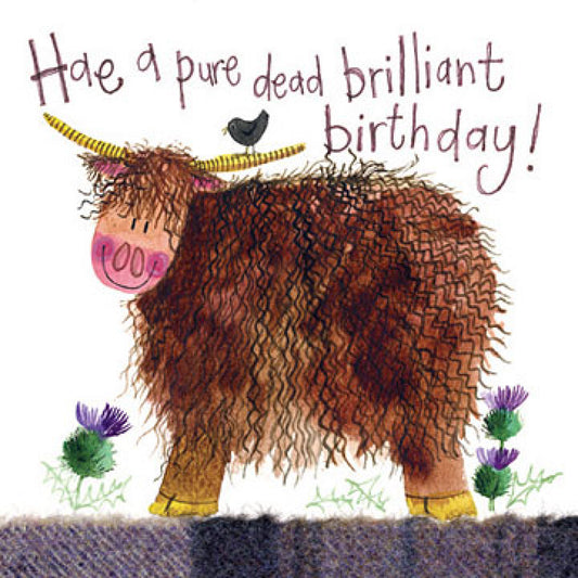 Pure Dead Brilliant Highland Cow Birthday Card