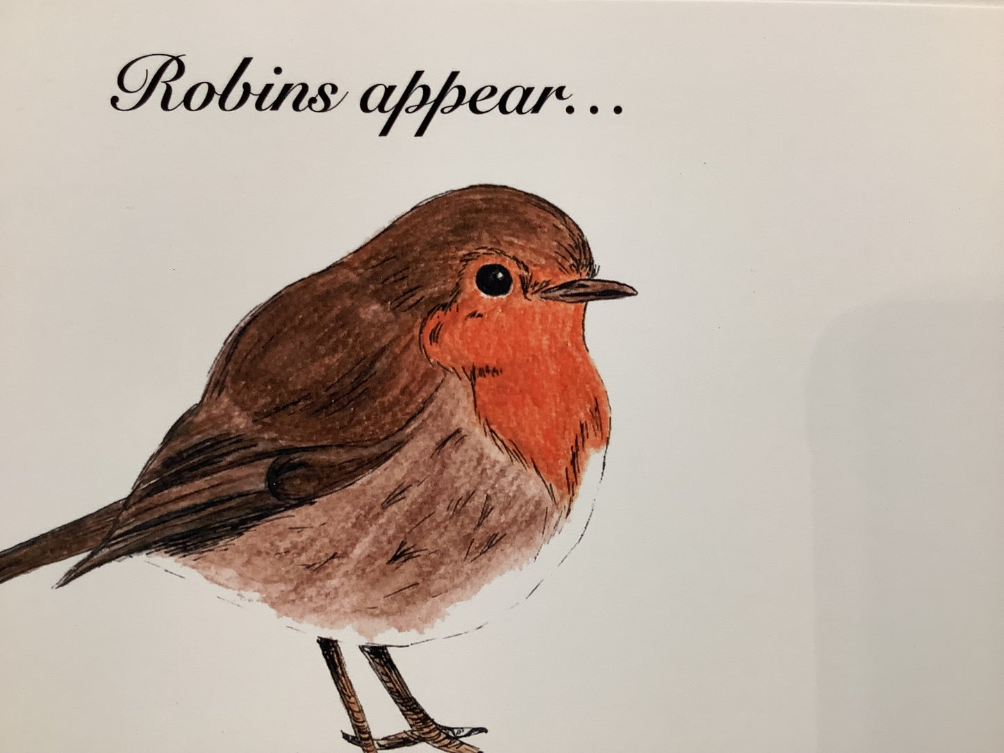 Robin (Loved Ones) - Fine Art Print