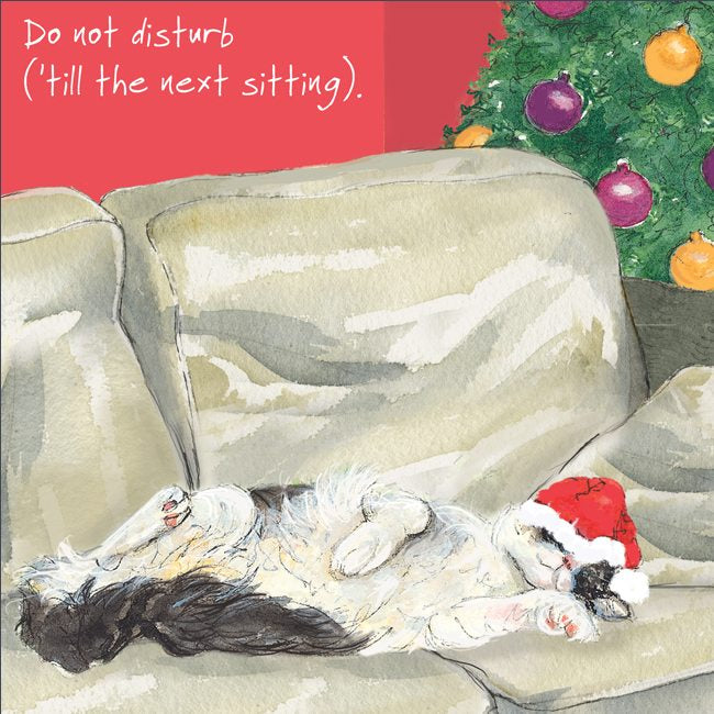 Do not Disturb Cat Christmas Card By Little Dog Laughed