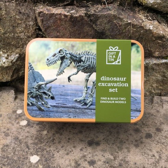 Dinosaur Excavation Gift In A Tin by Apples To Pears