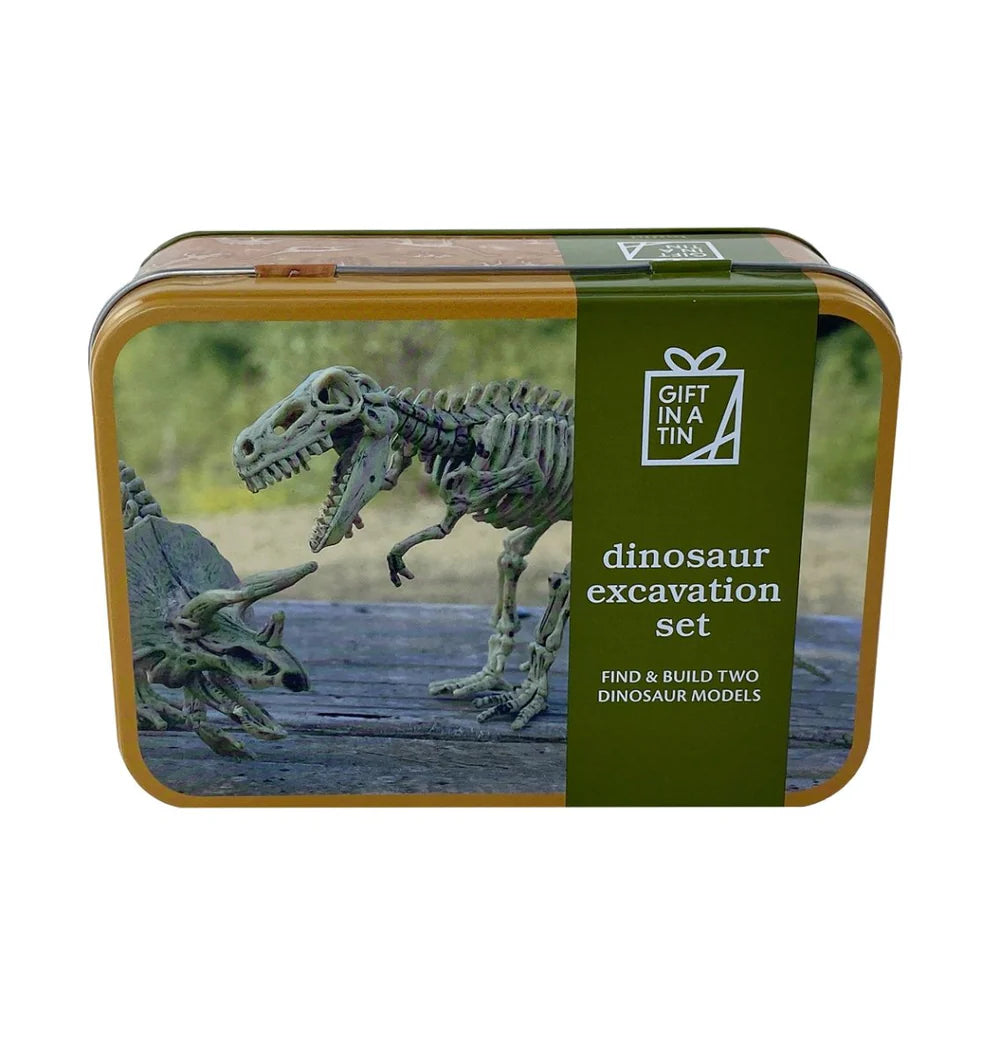 Dinosaur Excavation Gift In A Tin by Apples To Pears