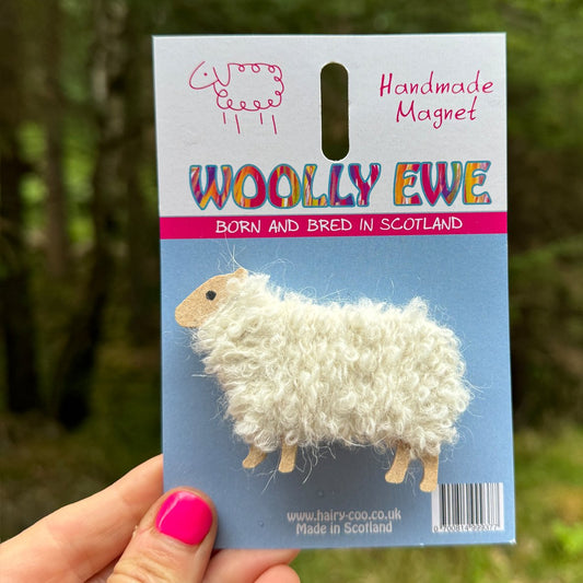 Woolly Ewe - Sheep Magnets