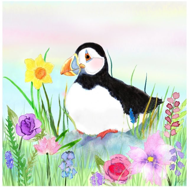 Sittin’ Pretty Puffin Card