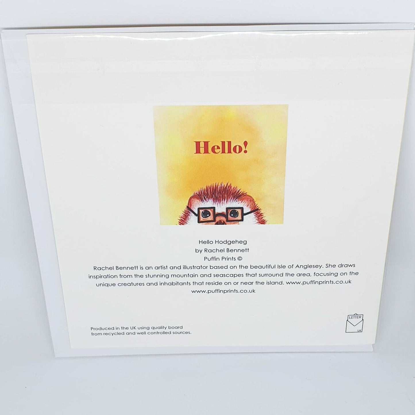 Hello Hodgeheg Card by Puffin Prints