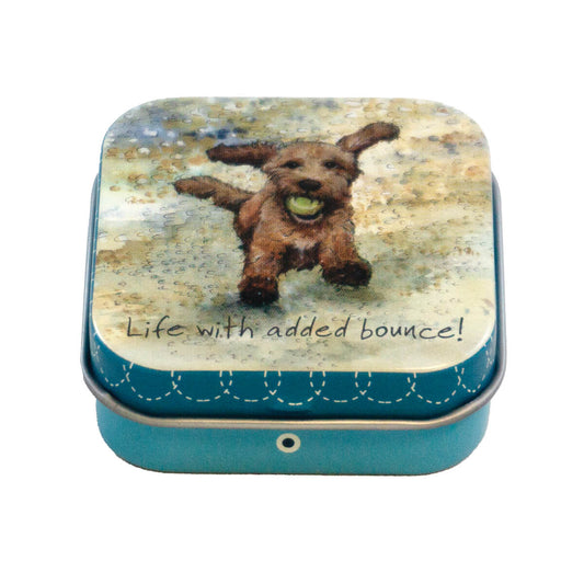 Mini Gift Tin - Cockapoo Life with Added Bounce