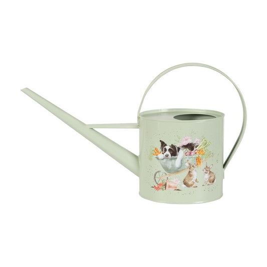 'SLEEPING ON THE JOB' BORDER COLLIE AND RABBIT WATERING CAN