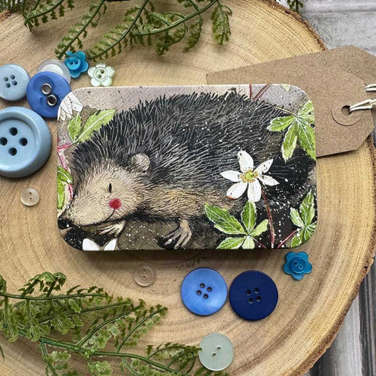 Mr Prickly Small Rectangle Tin
