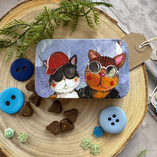 Cool Cats Small Rectangle Tin