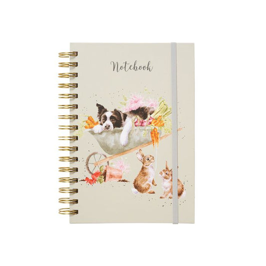 'SLEEPING ON THE JOB' BORDER COLLIE AND RABBIT NOTEBOOK