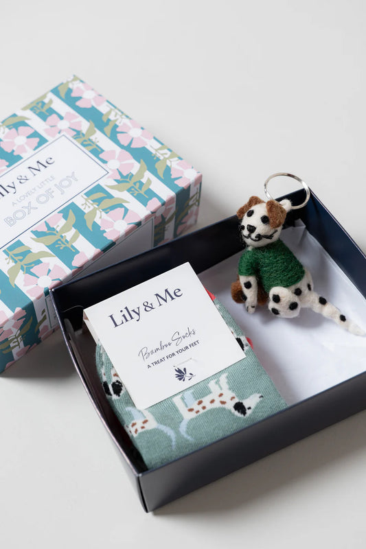 POPPY TRAINER SOCKS AND POPPY THE LIBRARIAN KEYRING GIFTBOX