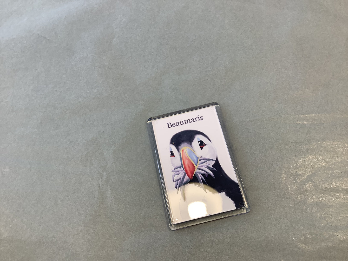 Puffin Prints Stuffin’ Puffin Magnet