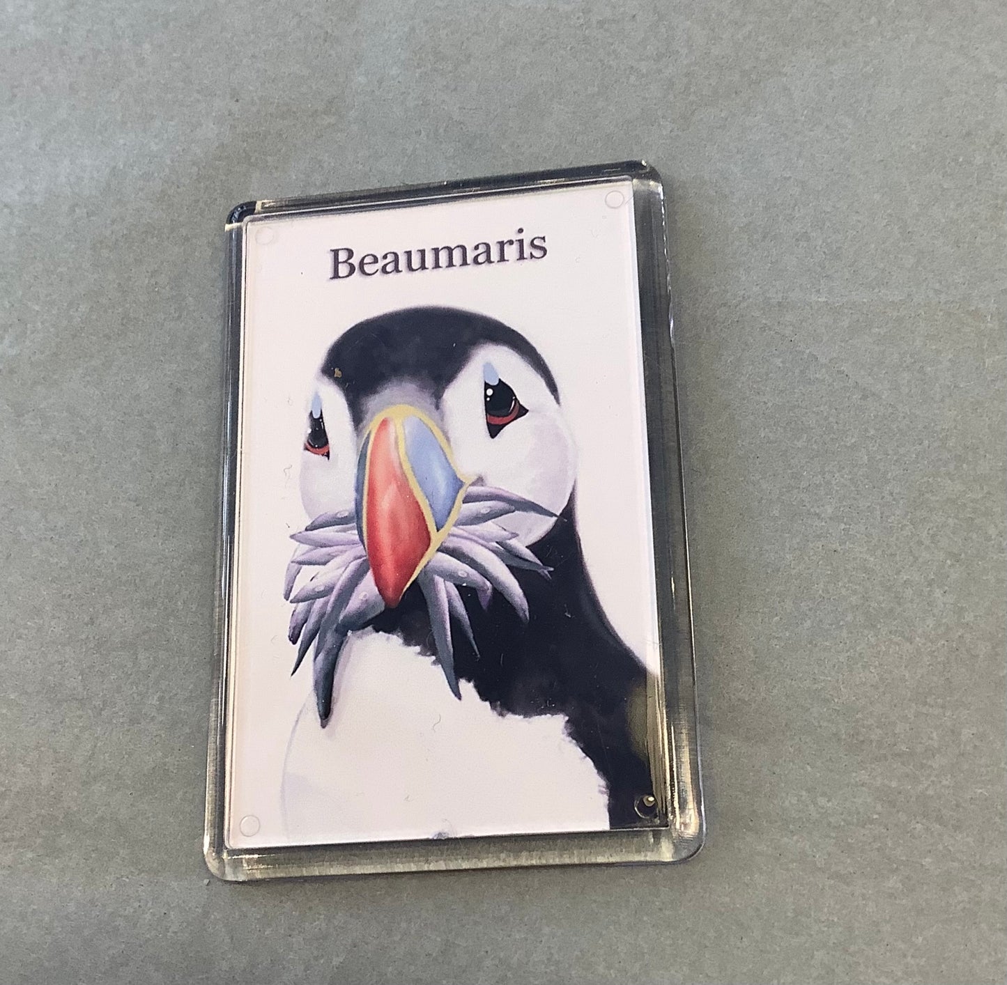 Puffin Prints Stuffin’ Puffin Magnet