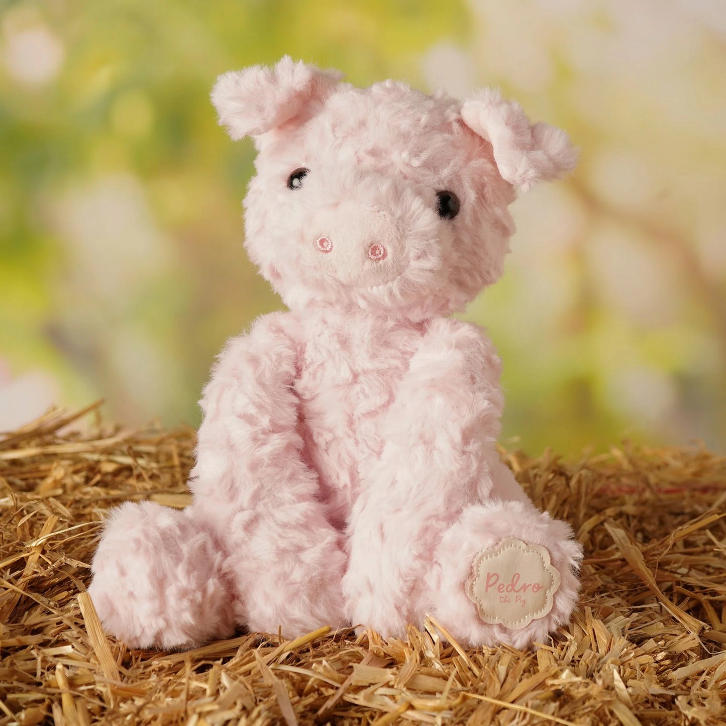 Pedro the Pig 23cm