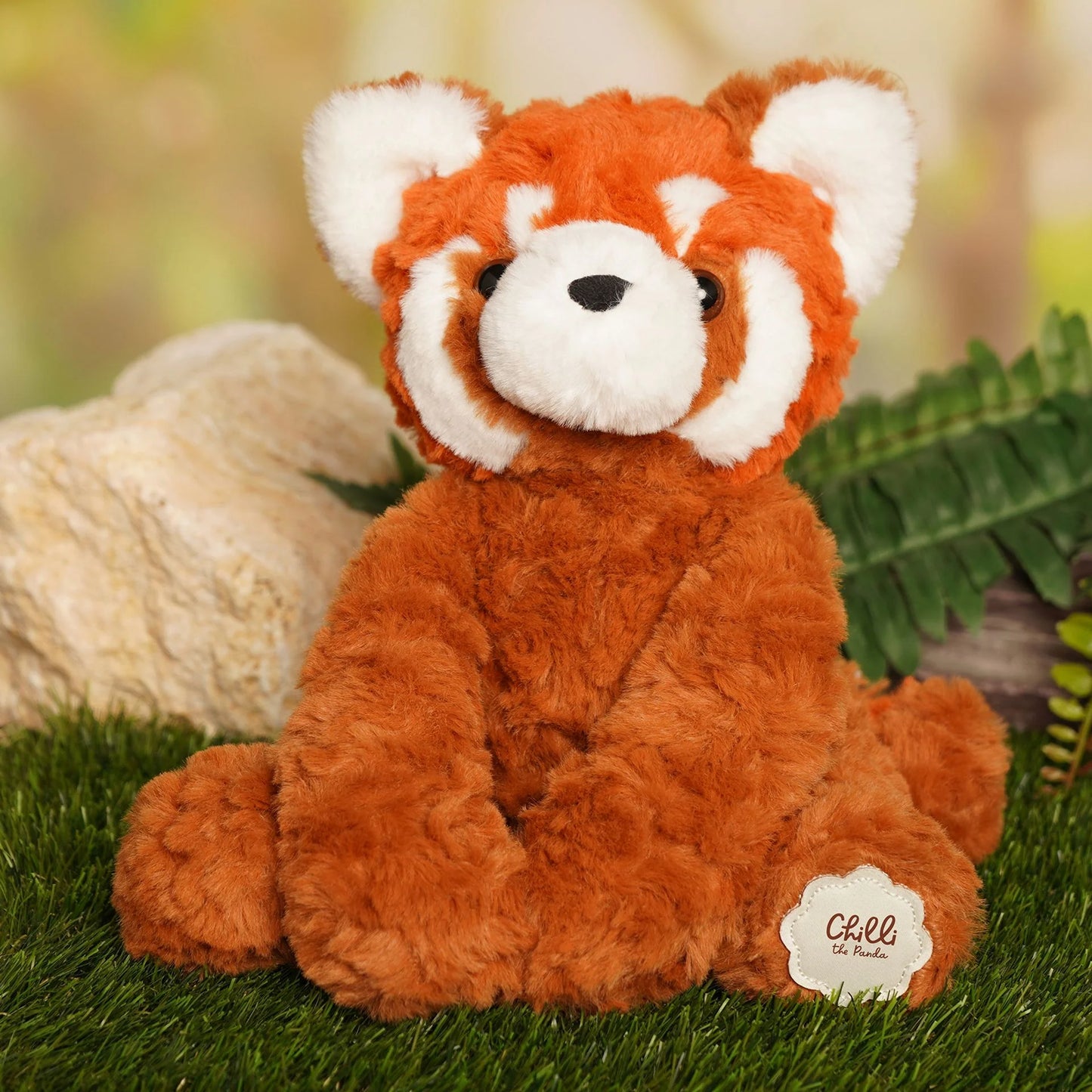 Chilli the Red Panda