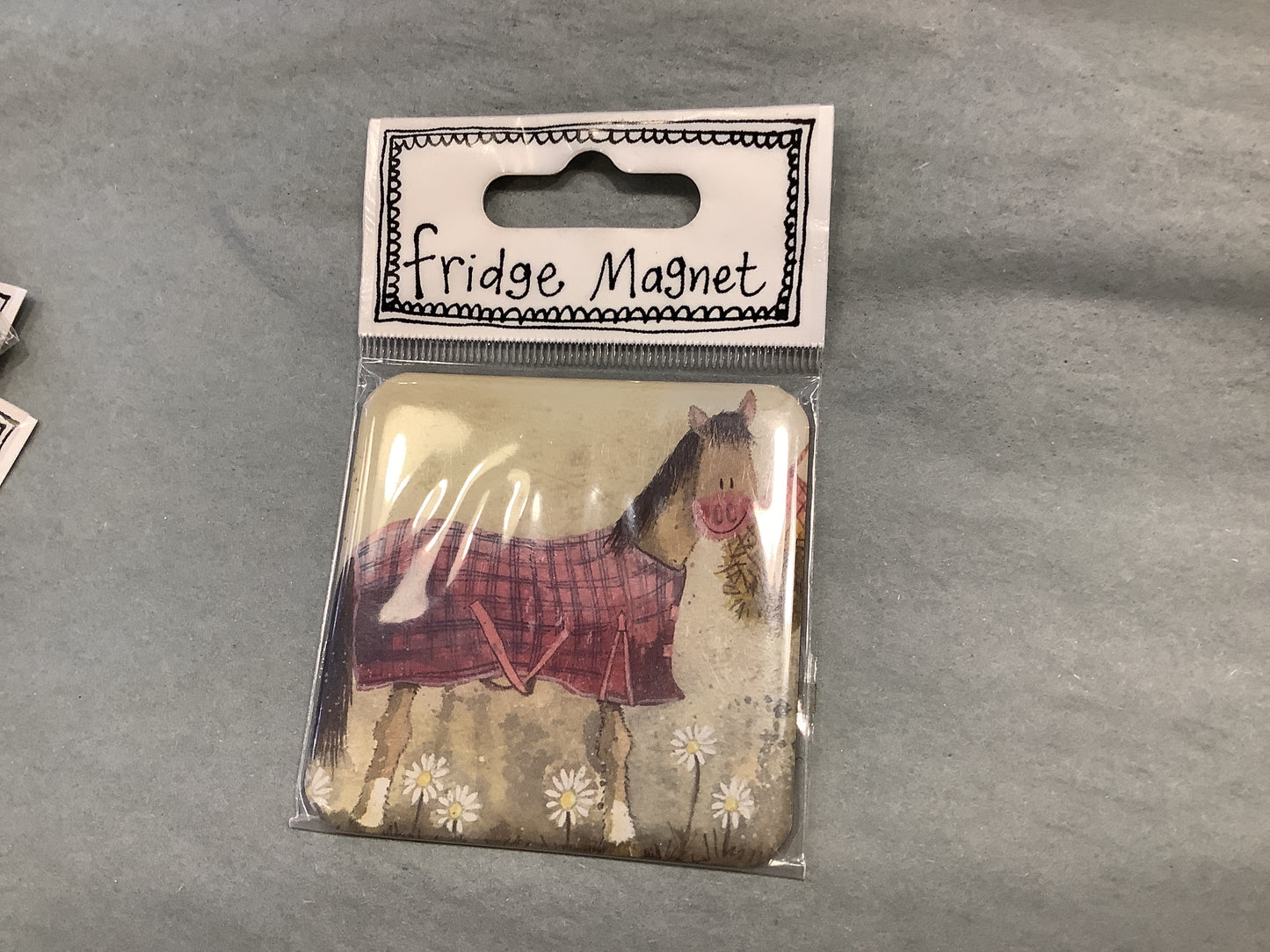 New Coat Fridge Magnet