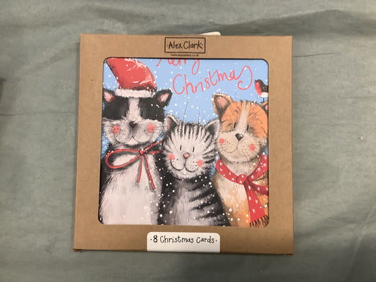 Festive Cats Boxed Christmas Cards