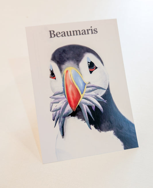 Hand Painted Beaumaris Stuffin' Puffin Postcards