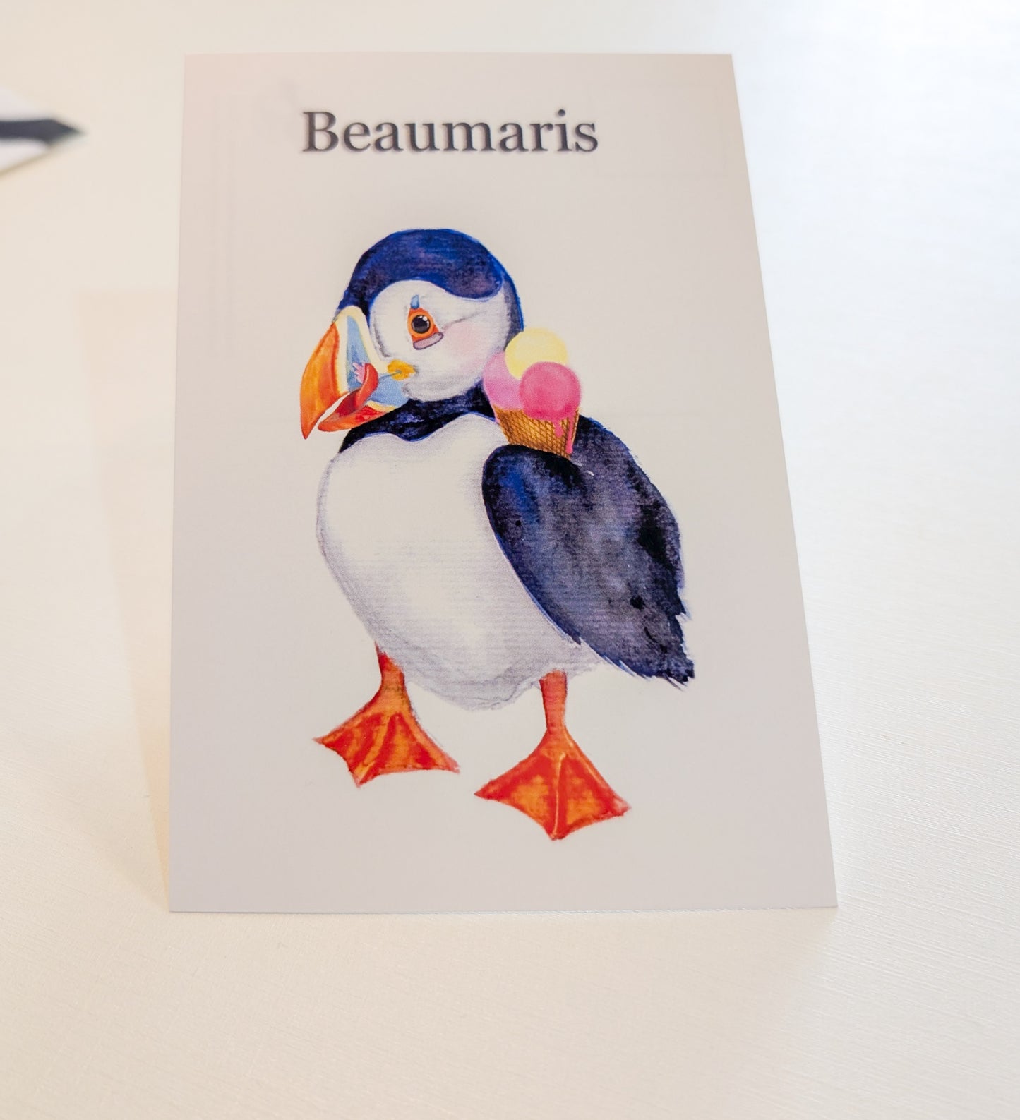 Hand Painted Beaumaris Puffin Delight Postcards