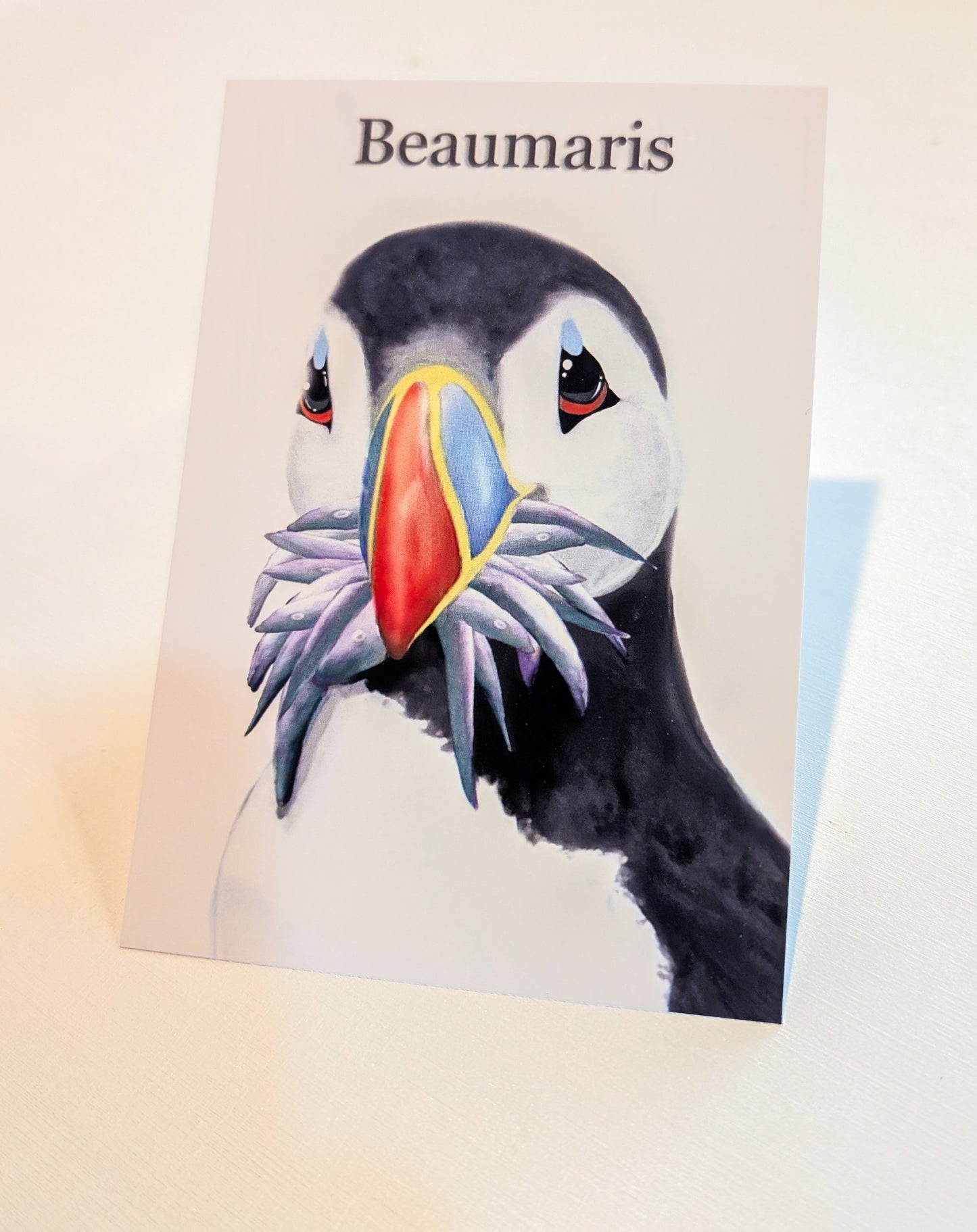 Hand Painted Beaumaris Stuffin' Puffin Postcards